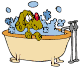 Bath House and Doggie Spa